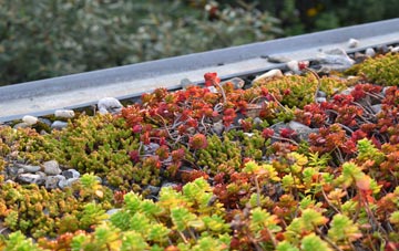 the cost of Llanbadarn Fynydd green roof installation